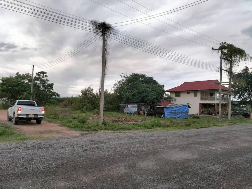 ขายที่ดินในตำบลบางเก่า อำเภอชะอำ เพชรบุรีเนื้อที่50ตรว