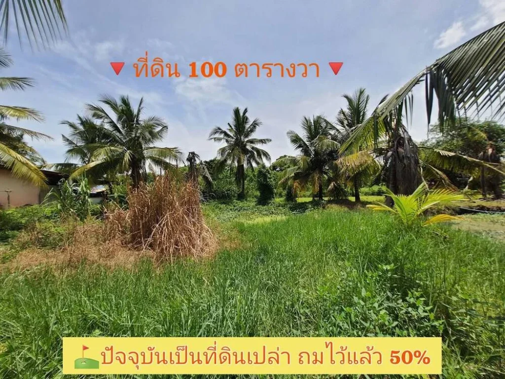 ขายที่ดินสร้างบ้านสวน 100 ตารางวา ติดถนนสาธารณะ ซอยโรงเรียนบ้านคลองฝรั่ง อไทรน้อย