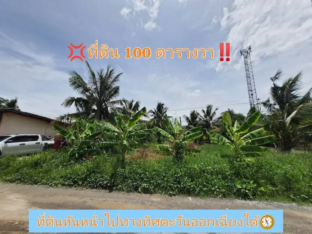 ขายที่ดินสร้างบ้านสวน 100 ตารางวา ติดถนนสาธารณะ ซอยโรงเรียนบ้านคลองฝรั่ง อไทรน้อย