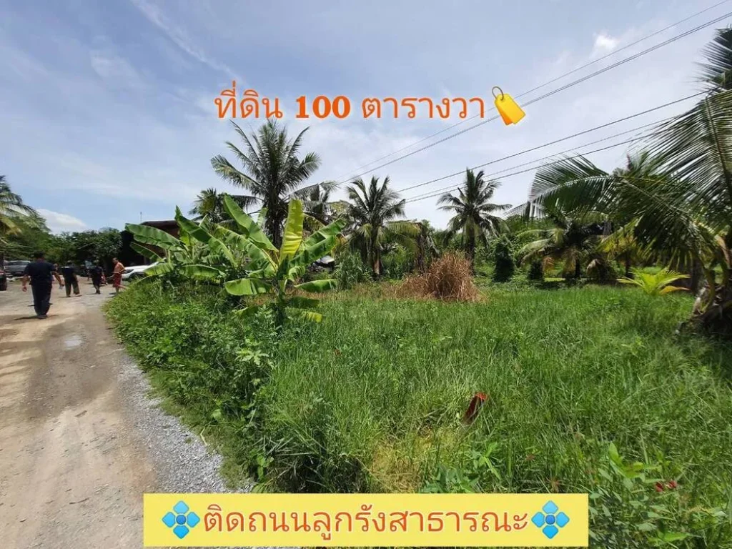 ขายที่ดินสร้างบ้านสวน 100 ตารางวา ติดถนนสาธารณะ ซอยโรงเรียนบ้านคลองฝรั่ง อไทรน้อย