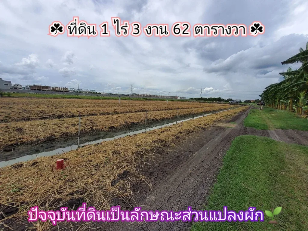 ขายที่ดิน 1-3-62 ไร่ติดถนนสาธารณะโซนสีเหลืองตคลองขวาง อไทรน้อย