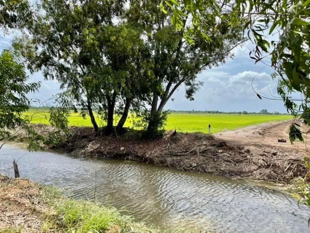 ถูกมาก 1 ไร่หลักแสน ที่ดินแบ่งขาย บ้านสวนคูณรัก คลอง30 ตทองหลาง อบ้านนา จนครนายก