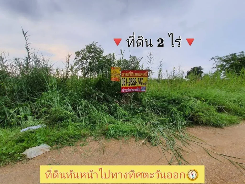 ลดตลาดแตก ที่ดินคลองสอง 2 ไร่ ติดถนนสาธารณะ ซอยไอยรา 34 อคลองหลวง