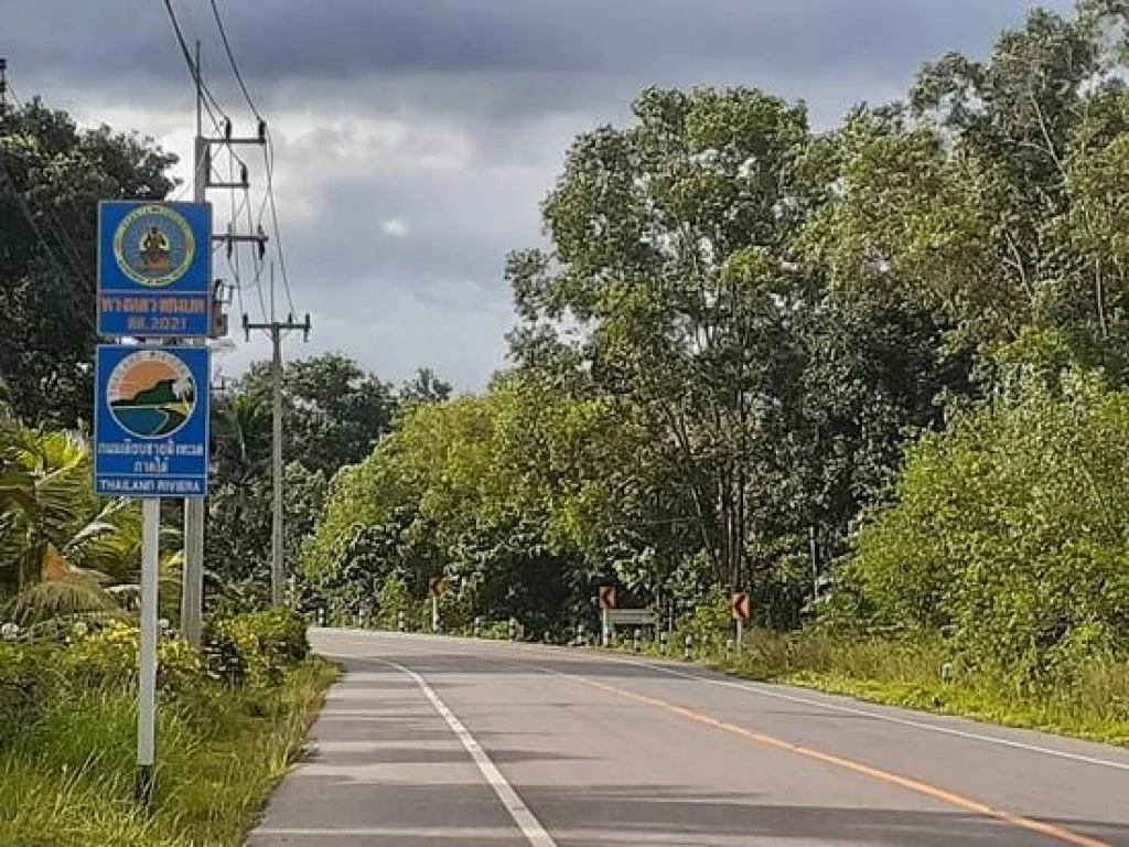 ขายที่ดินเปล่าบนเนินเขาใกล้หาดทุ่งวัวแล่นชุมพร ตำบล สะพลี อำเภอปะทิว ชุมพร