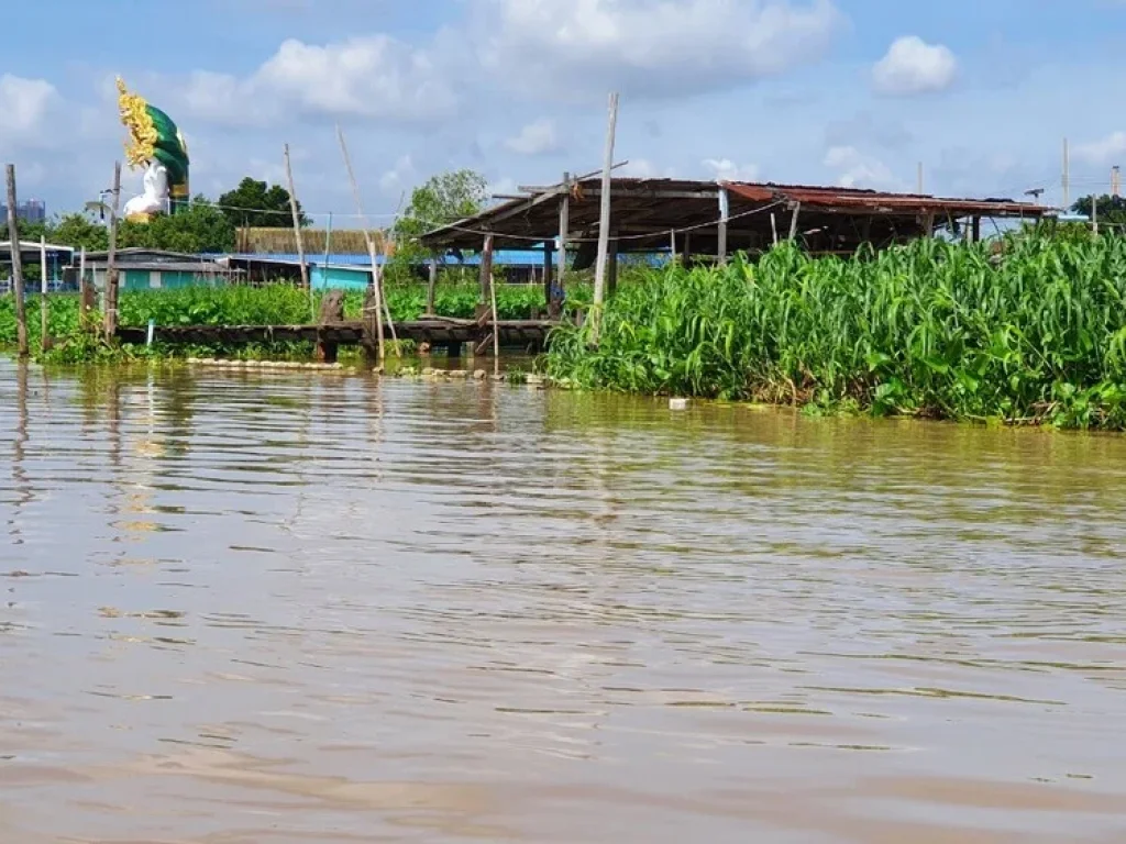 ขาย ที่ดิน 1220 วา ติดแม่น้ำเจ้าพระยา ตรงข้ามกระทรวงพาณิชย์ นนทบุรี