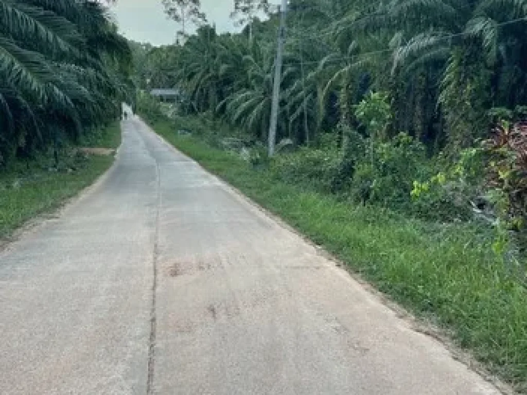 ขายที่ดิน ทำเลดี ติดทะเล บรรยากาศสบาย อำเภอสวี จังหวัดชุมพร เจ้าของขายเอง