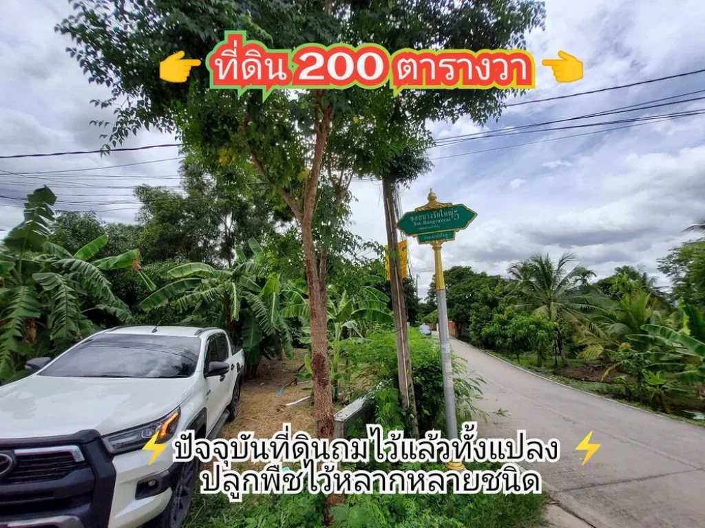 ขายที่ดินใกล้MRTบางรักใหญ่ 200 ตารางวาถมแล้วทั้งแปลงซอย วัดบางรักใหญ ถนนรัตนาธิเบศร์