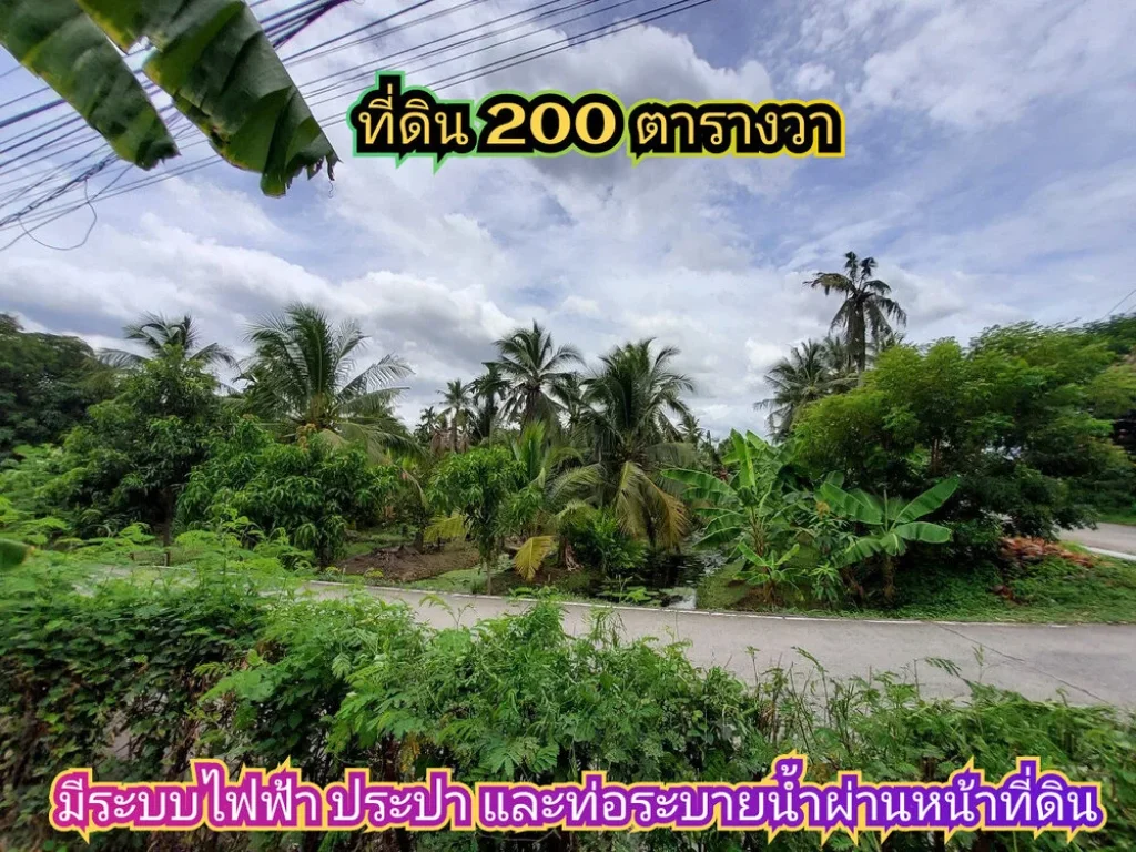 ขายที่ดินใกล้MRTบางรักใหญ่ 200 ตารางวาถมแล้วทั้งแปลงซอย วัดบางรักใหญ ถนนรัตนาธิเบศร์