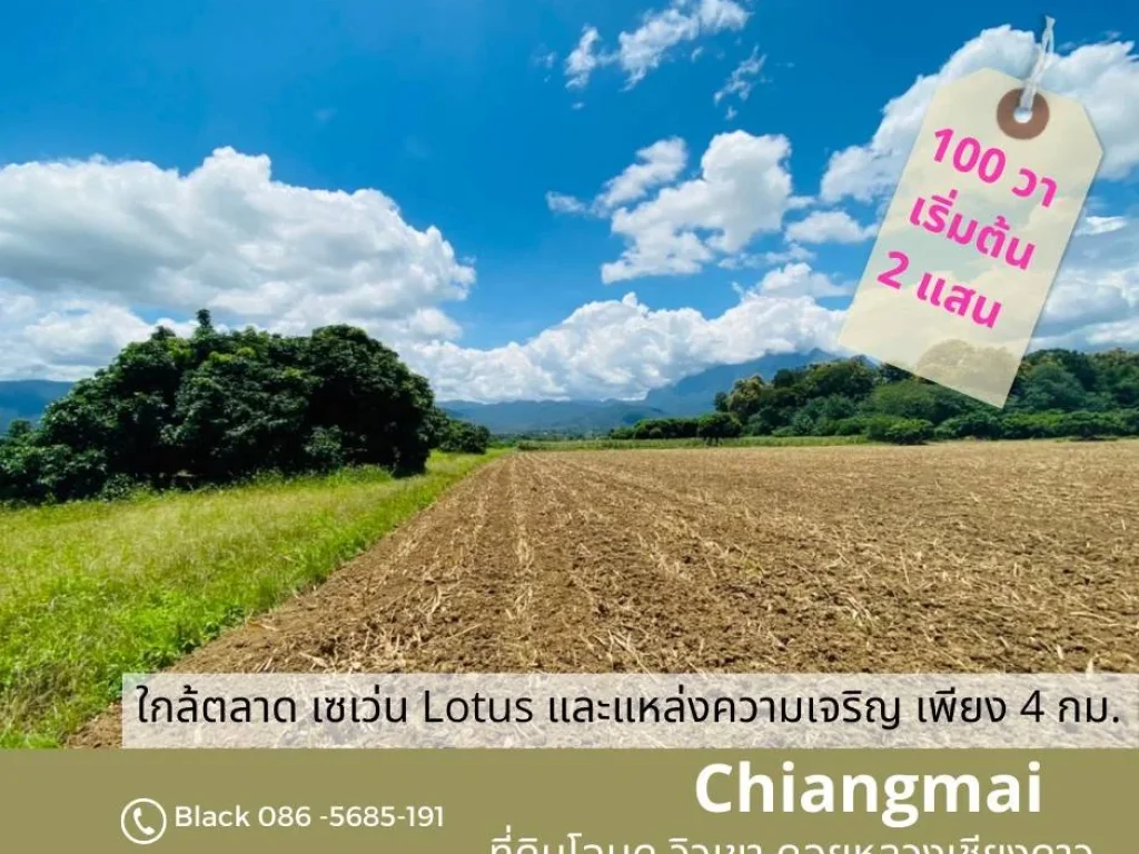 ขายที่ดินเชียงดาว 100 ตรว 2 เเสน บ้านเเม่เตาะ อเชียงดาว จเชียงใหม่ ใกล้ดอยหลวงเชียงดาว