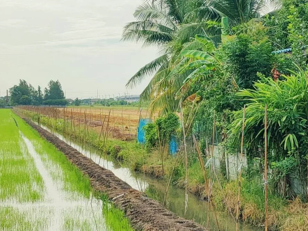 ขายบ้านเดี่ยวพร้อมที่ดิน 8-3-60 ไร่ ไทรน้อย นนทบุรี