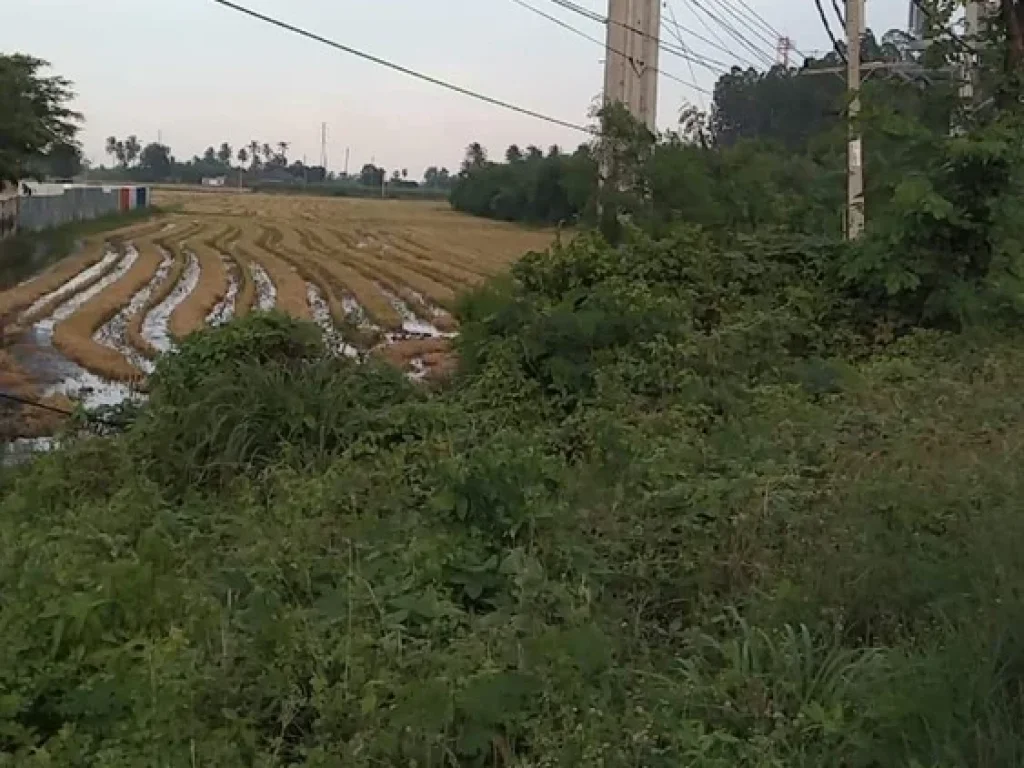 ขายที่ดินติดถนนทางหลวงชนบทใกล้สถานีไฟฟ้าเดิมบางนางบวชจำนวน 15 ไร่เศษ ไร่ละ 8 แสน ขายถูกมาก