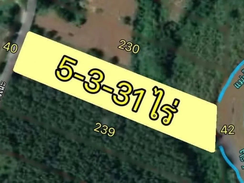 ขายที่ดินติดน้ำปิง 5-3-31 ไร่ ใกล้แยกปายตัดใหม่ อแม่แตง เชียงใหม่