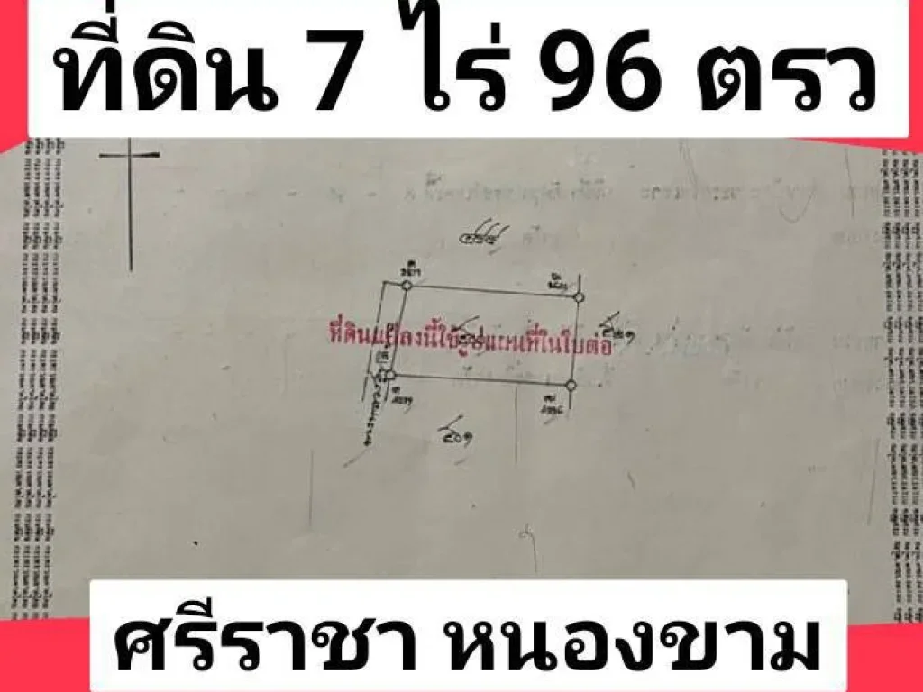 ขายที่ดินศรีราชา หนองขาม พื้นที่ 7 ไร่ 96 ตรว ใกล้เครือสหพัฒน์ แหลมฉบัง ทางด่วนบายพาส ชลบุรี- ระยอง