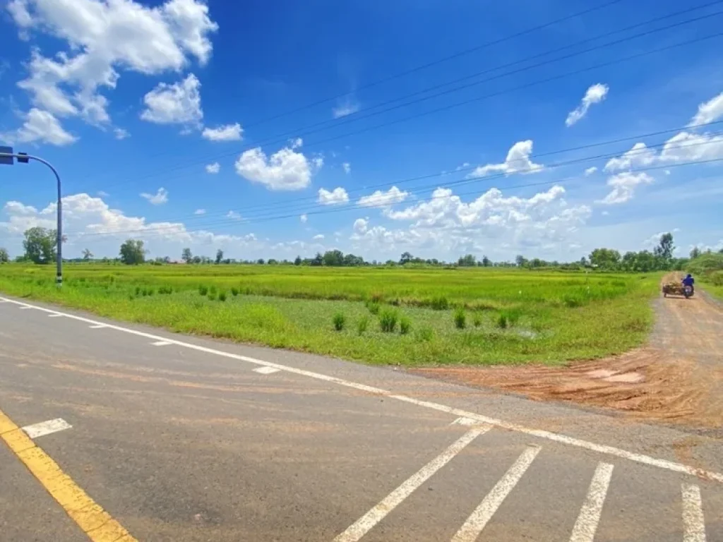 ขายที่ดินจังหวัดบุรรัมย์ ด้านหน้าติดทางหลวงชนบท บร3021ด้านข้างที่ดินมีถนน หินคลุก