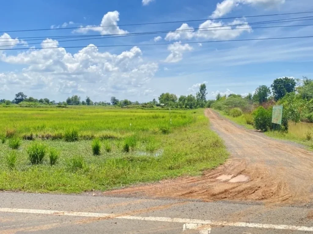 ขายที่ดินจังหวัดบุรรัมย์ ด้านหน้าติดทางหลวงชนบท บร3021ด้านข้างที่ดินมีถนน หินคลุก