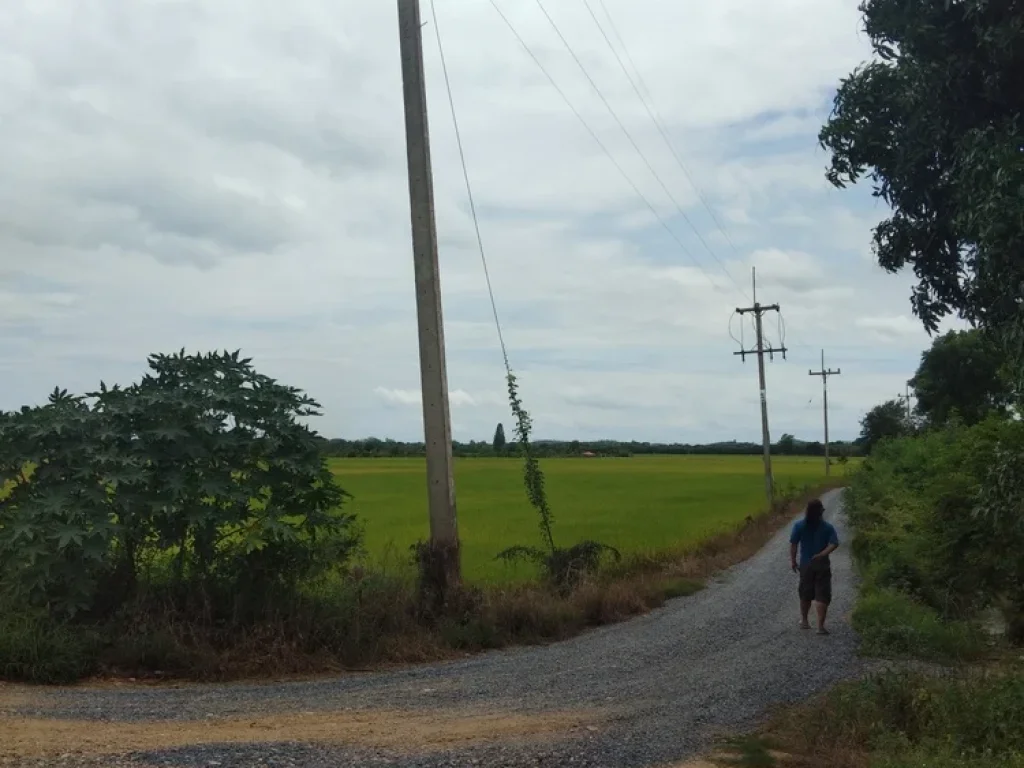 ขายที่ดิน เดิมบางนางบวช สุพรรณบุรี ใกล้บึงฉวาก ใกล้ทางหลวง 3216