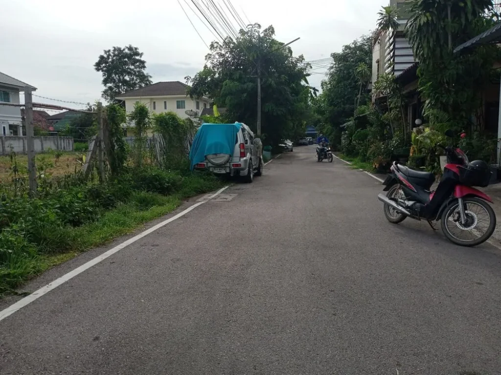 ขายที่ดินในตัวเมืองเชียงใหม่ ใกล้มหาวิทยาลัยพายัพ ตท่าศาลา