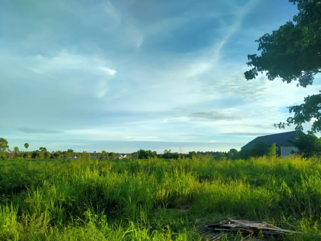 ขายที่ดินระยอง บ้านฉาง 33ไร่ ติดถนนบูรพาพัฒน์ ใกล้ห้างโรบินสัน หน้ากว้าง 80เมตร