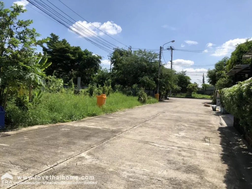 ขายที่ดิน หมู่บ้านอรุณสิริ ถนนท่าอิฐ4 พื้นที่1266ตรว ขาย59000ตรว ที่ดินถมแล้ว ลงเสาเข็มพร้อมปลูกสร้าง ใกล้รถไฟฟ้าสายสีม่วง