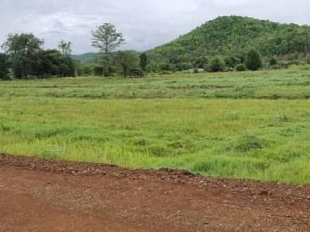 ขายที่ดินบ้านห้วยทรายสันกำแพงวิวดอยภูเขาพร้อมโอนราคาถูก