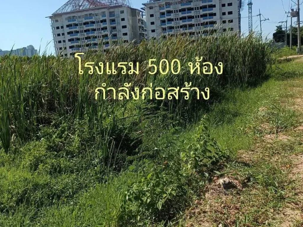 ขายที่ดินพัทยา บางละมุง 6118 ตรว ติดโรงแรม 500 ห้อง ใกล้ปากทางเข้าถนนจอมเทียนสาย 2 เยื้องตลาดน้ำ 4 ภาค