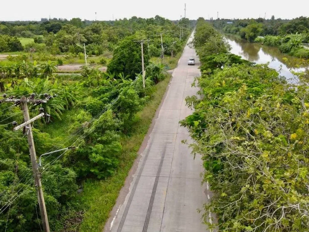 ขายที่ดินหนองเสือ 4 ไร่ คลอง 9 ติดถนน 3 ด้าน ติดคลองชลประทาน ใกล้ถรังสิต - นครนายก 305 - 42 กม จปทุมธานี