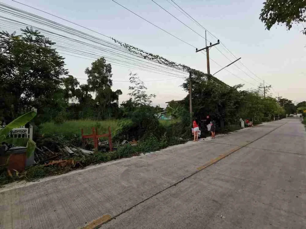 ขายที่ดินเปล่า คลองสาม ซอย 911 ใกล้วัดพระธรรมกาย เจ้าของขายเอง