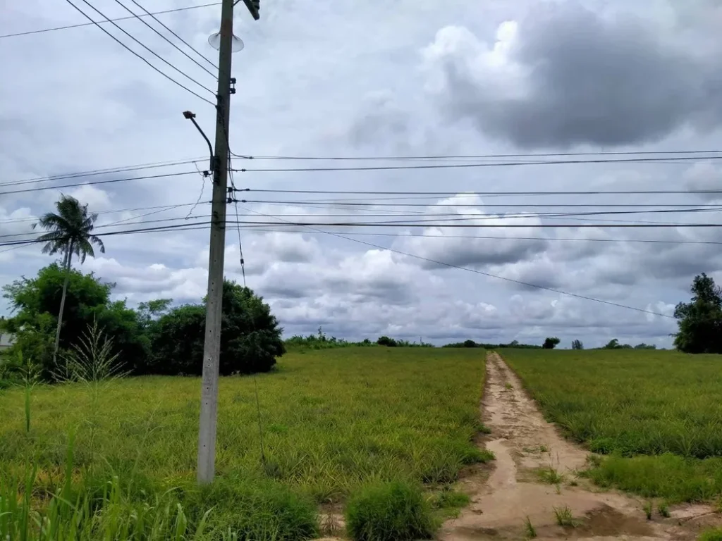 ขายที่ดินระยอง นิคมพัฒนา 24ไร่ ใกล้นิคมอมตะซิตี้ระยอง ติดถนนสาย 13 ผังสีม่วงลาย