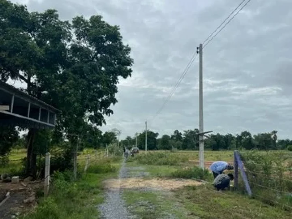 ขายด่วนๆที่ดิน 3 ไร่ ตำบลสระกระโจม อำเภอดอนเจดีย์ จังหวัดสุพรรณบุรี