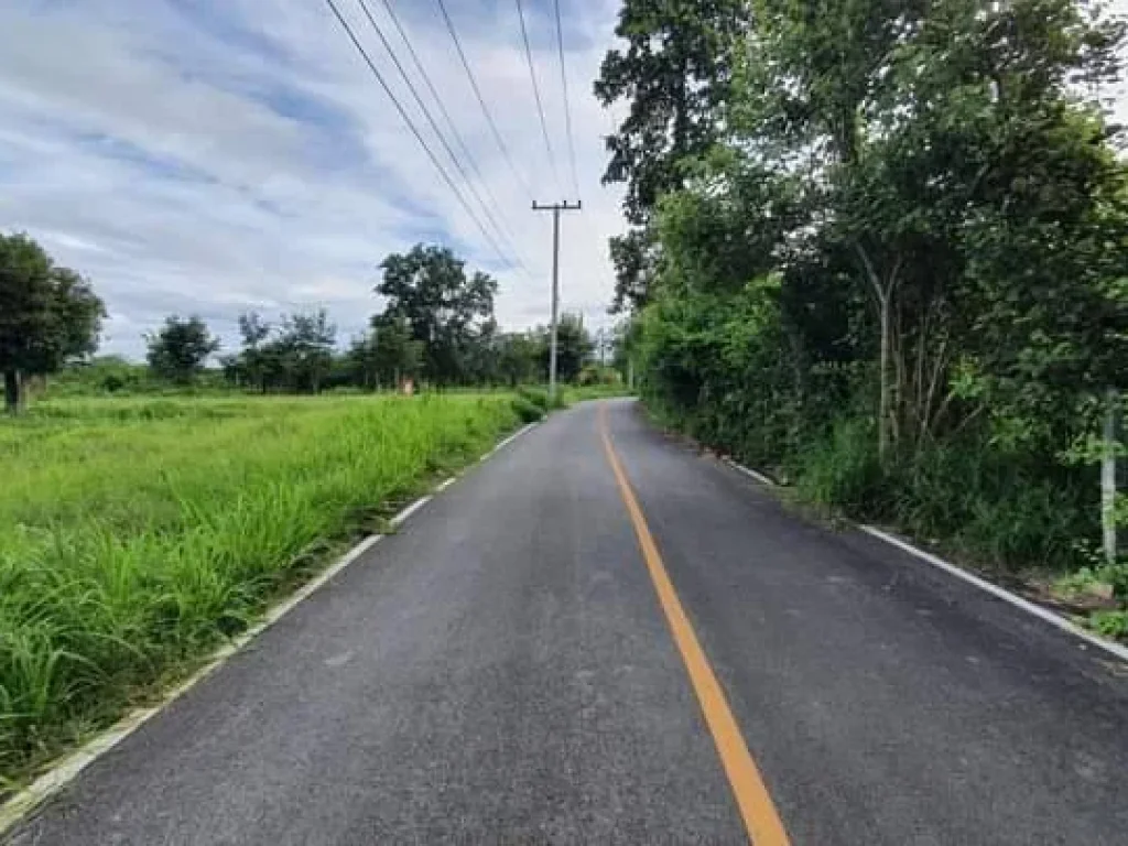 ขายที่ดินสันป่าตองยุหว่าติดถนนลาดยางใกล้เมืองพร้อมโอน