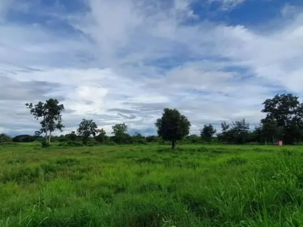 ขายที่ดินสันป่าตองยุหว่าติดถนนลาดยางใกล้เมืองพร้อมโอน