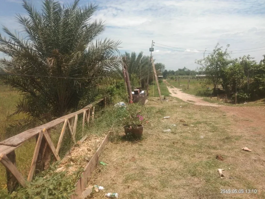 ที่ที่ดินบ้านสวนการเกษตร เนื้อที่ 22-3-03 ไร่ ติดคลองสนธิ ลพบุรี