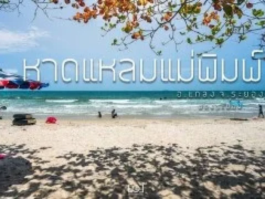 ขายที่ดิน ขายนักลงทุน ระยอง แกลง ใกล้ทะเลหาดแม่พิมพ์ 8 นาที ขนาด 340 ตรว 50ตรวา 6 แปลงเหมาะทำบ้านจัดสรรบ้าน pool villa ขาย