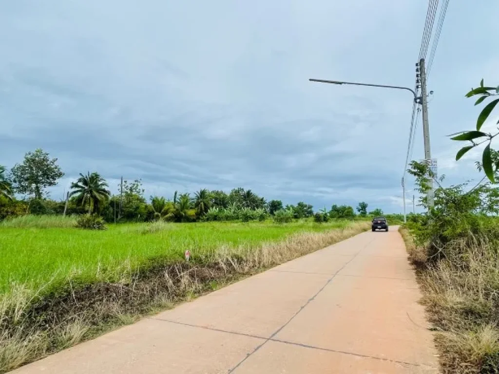 ขายที่ดิน ขายนักลงทุน ระยอง แกลง ใกล้ทะเลหาดแม่พิมพ์ 8 นาที ขนาด 340 ตรว 50ตรวา 6 แปลงเหมาะทำบ้านจัดสรรบ้าน pool villa ขาย