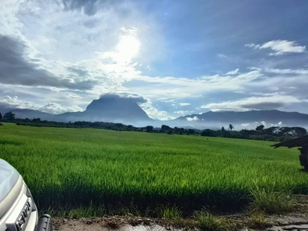 ขายที่นา เนื้อที่ 6 ไร่ แปลงยาว รูปทรงตัว L ทำเลดี วิวดอยหลวง ใกล์ลำเหมืองใหญ่ อเชียงดาว จเชียงใหม่