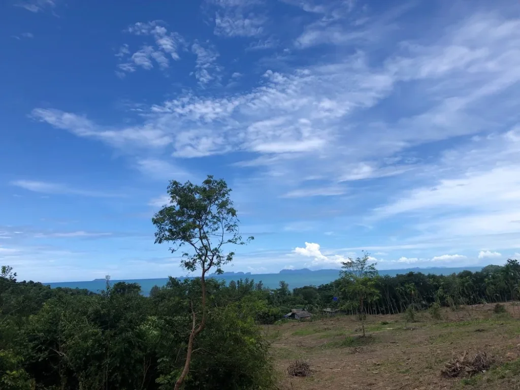 ที่ดินเปล่าวิวทะเล ใกล้หาดลองบีช ในเขตชุมชนศาลาด่าน