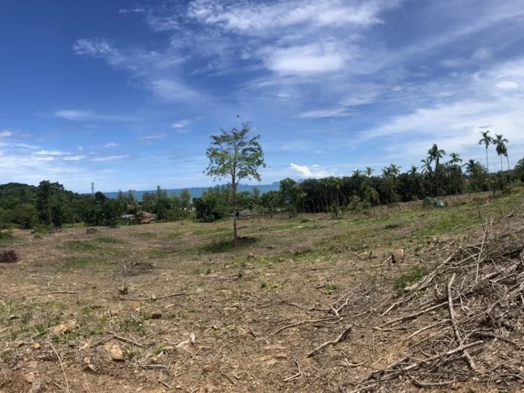 ที่ดินเปล่าวิวทะเล ใกล้หาดลองบีช ในเขตชุมชนศาลาด่าน