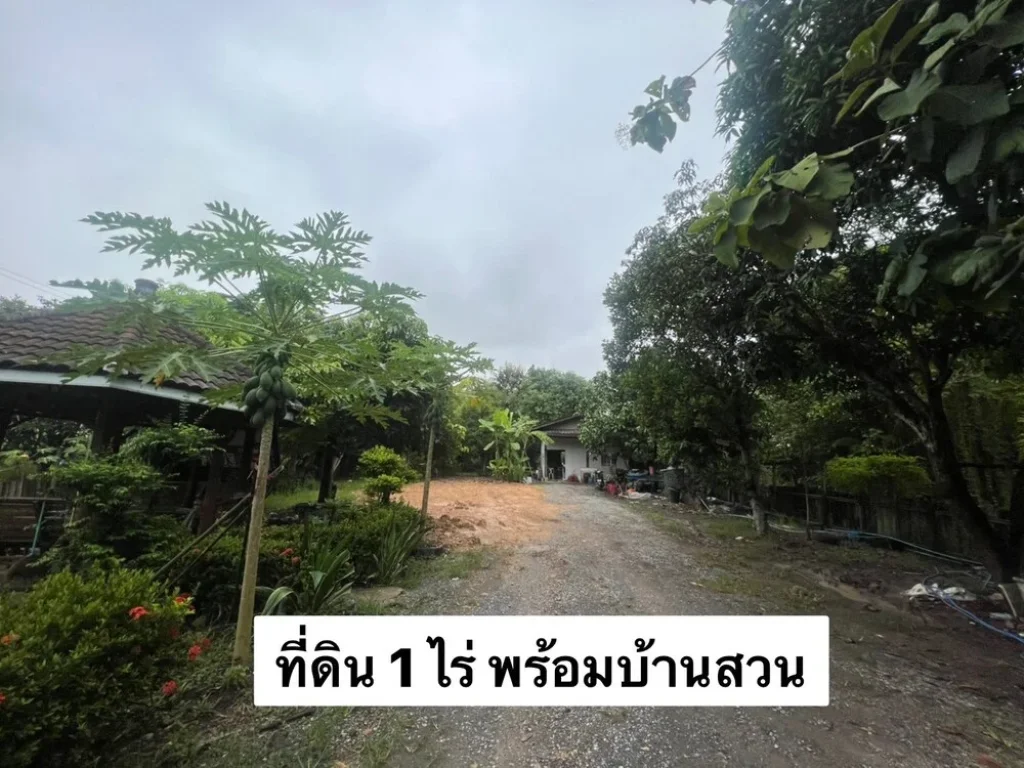 ขายที่ดินแปลง 1 ไร่ พร้อมบ้านสวน ลำไทร ใกล้อารีนาสนามฟุตซอล ขายสดโฉนดพร้อมโอน