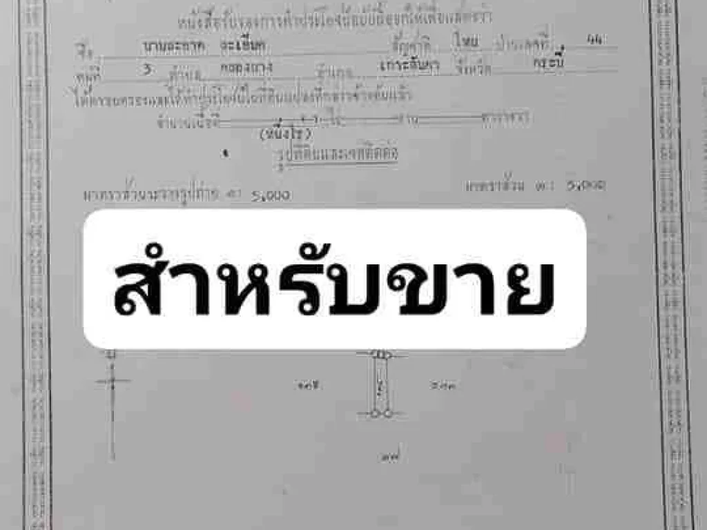 ขายด่วน บ้านพร้อมที่ดิน ทำเลดี อำเภอเกาะลันตา จังหวัดกระบี่