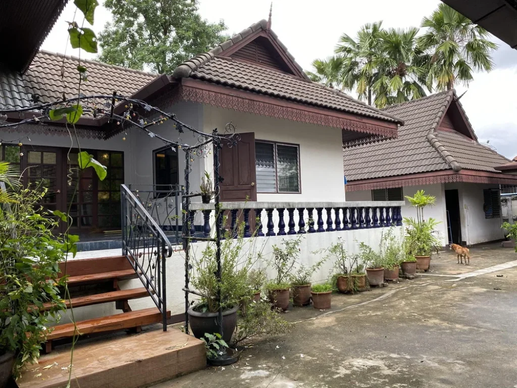 บ้านเดี่ยวให้เช่า ติดริมแม่น้ำ ร่มรื่น สันกำแพง เชียงใหม่RENT VACATION HOUSE closed river view Chiang Mai