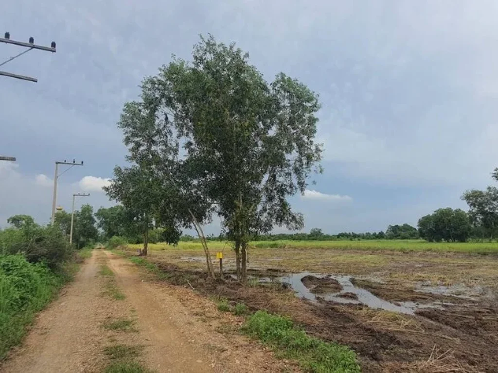 ที่ดินถูกมาก เริ่ม 90 ตรวโครงการบ้านสวยเกษตรคลอง10 รพีพัฒน์ ส่งต่อความสุข