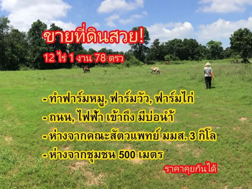 ขาย ที่ดิน 12 ไร่ ใกล้ คณะสัตวแพทยศาสตร์ มหาลัยมหาสารคาม