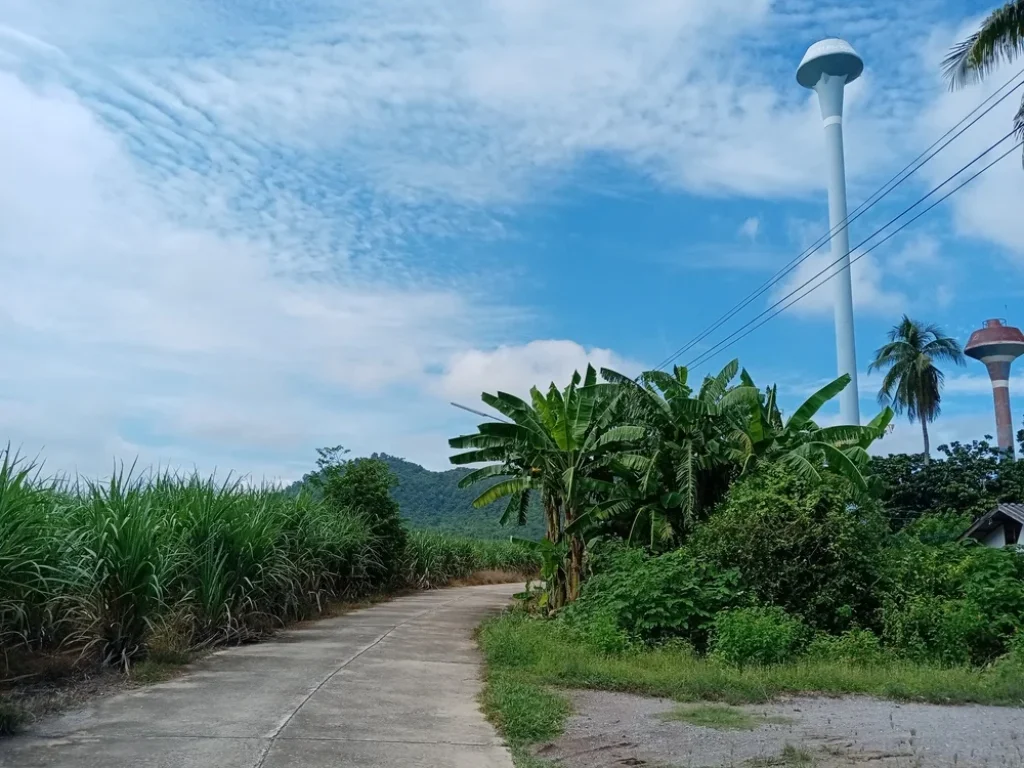 ขายถูกที่ดินโฉนด194ไร่ มีคลองไหลผ่าน ถนนล้อมรอบ ตพังตรุ อท่าม่วง กาญจนบุรี