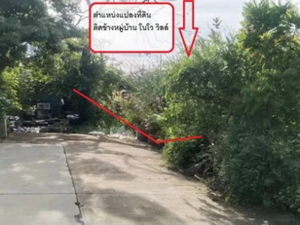 ขายที่ดินเปล่า ซวัดป่าจิตตภาวนา อลำลูกกา จปทุมธานี 208 ตรวทำเลดีอยู่ในแหล่งชุมชน