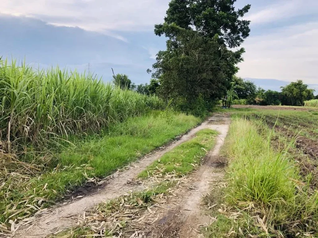 ขายที่ดินสวย วิวภูเขา ใกล้แหล่งชุมชน ใกล้หาดบางแสน ชลบุรี