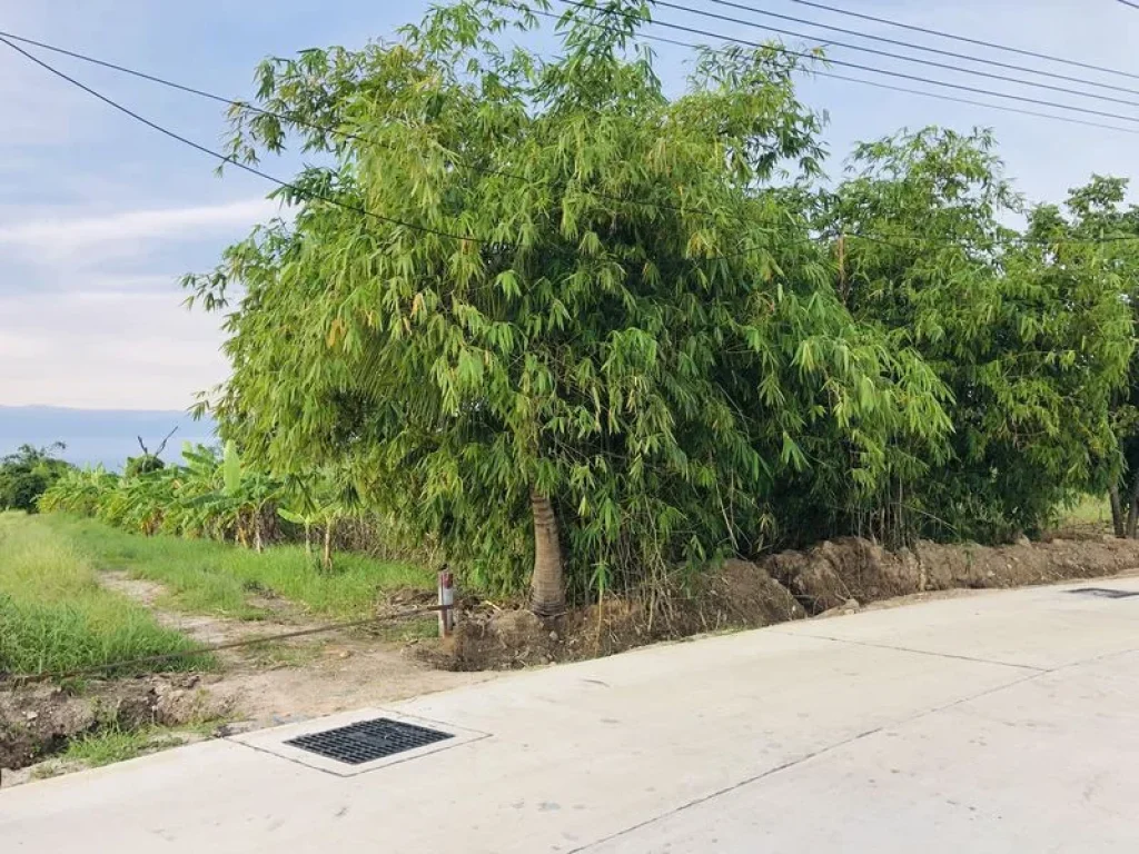 ขายที่ดินสวย วิวภูเขา ใกล้แหล่งชุมชน ใกล้หาดบางแสน ชลบุรี