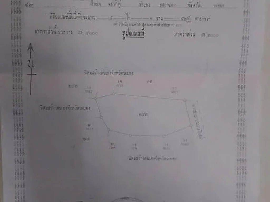 ขายที่ดิน สวนยางโฉนดเลขที่19076จำนวน5ไร่1งาน52ตารางวา ระยอง