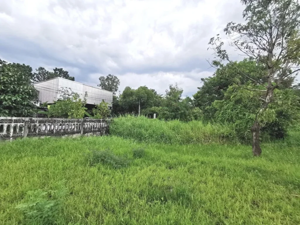 ขายที่ดิน สุขาภิบาล 5 ซอย 32 แยก 3 สายไหม กรุงเทพ 1728 ตรวา ใกล้จุดขึ้นลงทางด่วนฉลองรัช 2กิโล