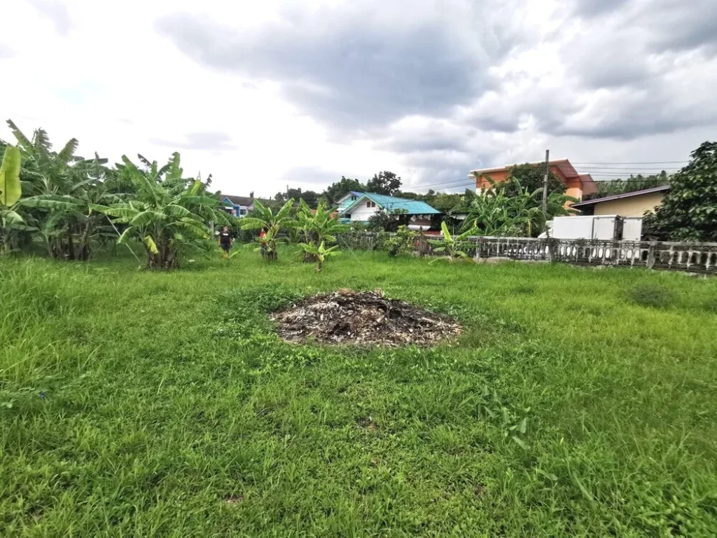 ขายที่ดิน สุขาภิบาล 5 ซอย 32 แยก 3 สายไหม กรุงเทพ 1728 ตรวา ใกล้จุดขึ้นลงทางด่วนฉลองรัช 2กิโล