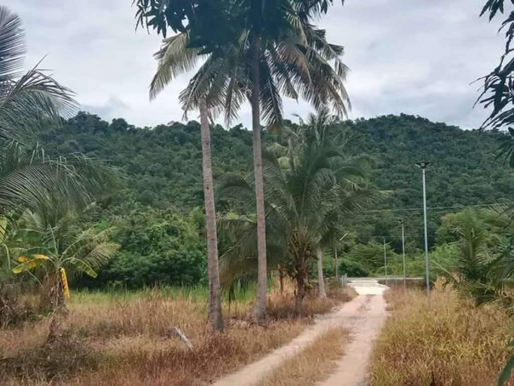 ขายที่ดินติดถนนดำ สวนเกษตรติดห้วยห้วยผากวิวภูเขา 7-0-74ไร่